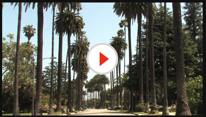 USC LA Video